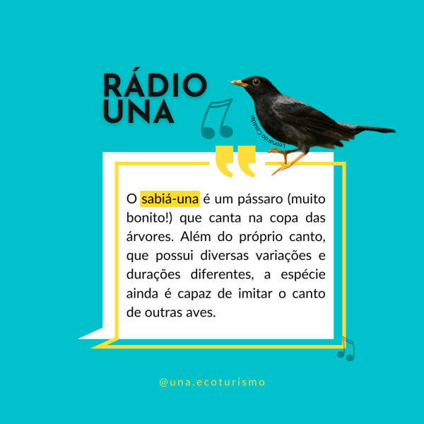 Rádio UNA