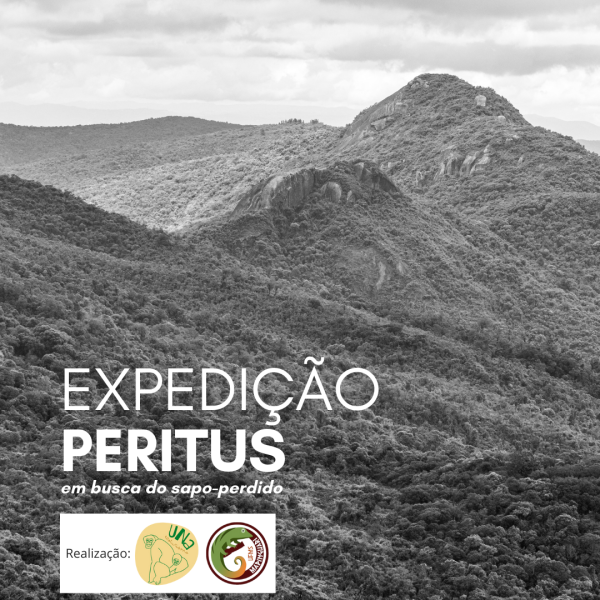 Expedição Peritus – Em busca do sapo perdido
