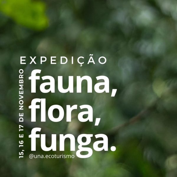 Expedição fauna, flora e funga